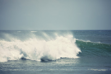 Fototapeta premium Rapid wave