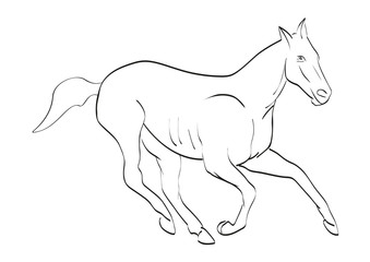 Векторное изображение лошади