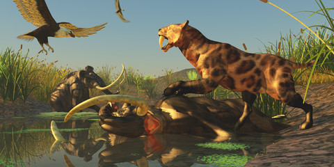Fototapeta premium Woolly Mammoth Trap