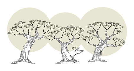 Trees, vector illustration