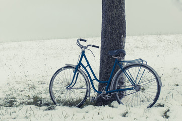 Vintage or retro bicycle left on a tree. Snowy field