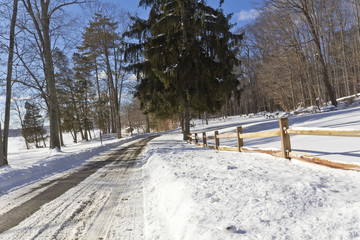Park Fence Snowy