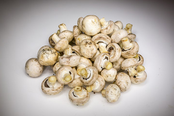 Raw champignons painted with light
