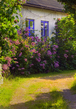Summer in Kivik