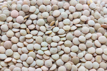 Legumes