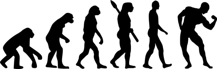 Evolution Muscle