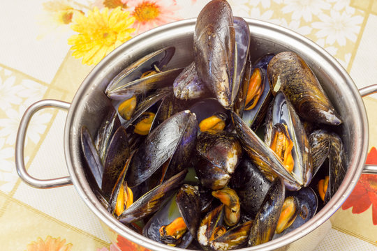 Pan full of mussels