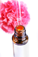 Dropper bottle of perfume with clove on white background