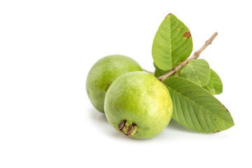 Local Thai green guava