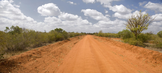 Kenyan savannah