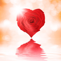 Fototapeta na wymiar Rose in Form eines Herzens
