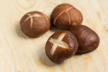 Shiitake mushroom