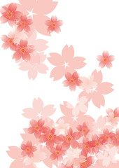 umi_ume_pattern__siro_sakura