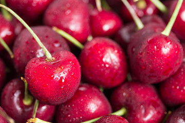 Closeup cherries
