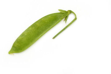 Snow pea or sugar pea isolated on white background