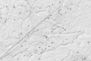 Mulberry paper with dry grass texture grey background