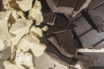 Pieces of cocoa butter and chocolate