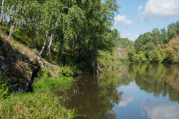 Fototapeta na wymiar river overgrown with birch trees and shrubs