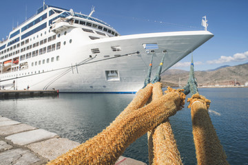 Big cruise ship