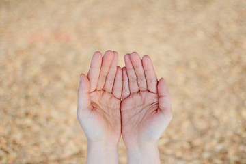 Hands human woman praying