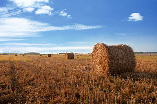 Stubble field with bales of straw, summer tima