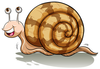 A slow snail