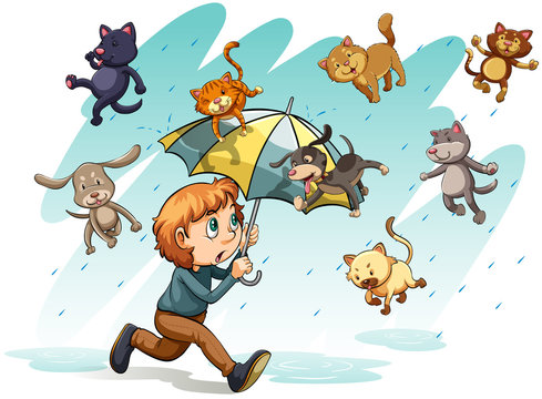 A rain with cats and dogs