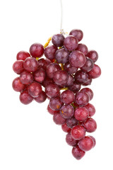 red grape isolated on white
