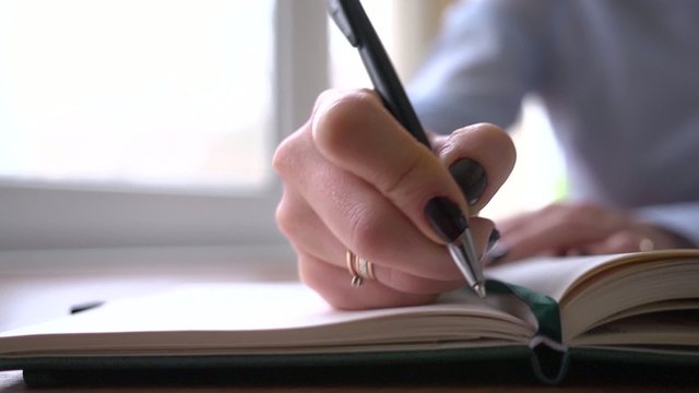 Business woman writes down plans in day planner