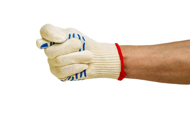 Fico on a white background close up