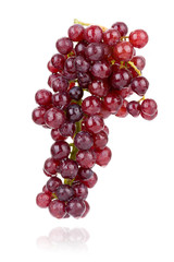 red grape isolated on white