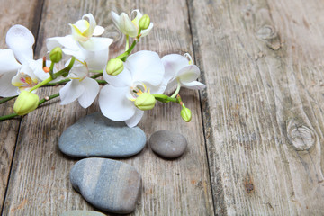 Zen stones and orchid