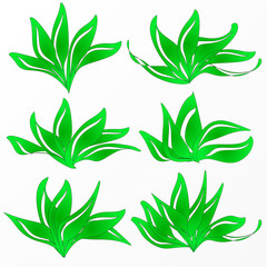 Set of Green leaf