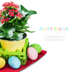 colorful easter eggs and spring flower
