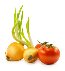 with onion sprouts and tomatoes isolated on white background