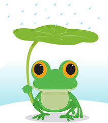 Fototapeta premium Cute frog in the rain