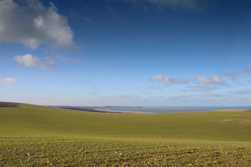 Obraz premium paysage