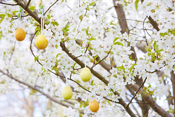 Ostereier in einem Kirschbaum