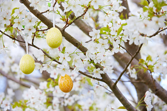Ostereier in einem Kirschbaum