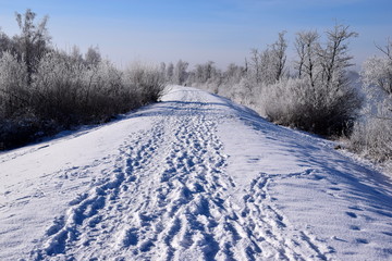 Snowy path - Verschneiter Weg