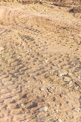 Wheel tracks on dirt