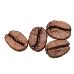 roasted coffee beans isolated in white background cutout