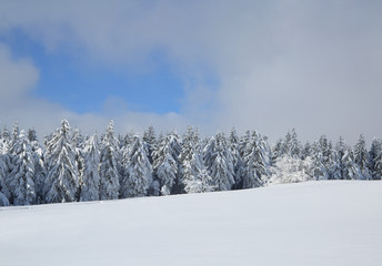 Schneelandschaft