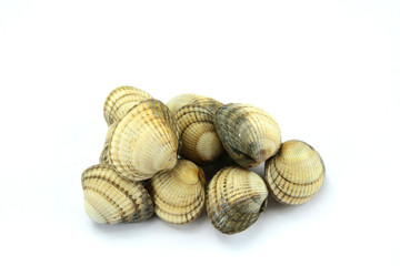 coques