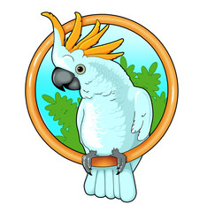 parrot © fargon
