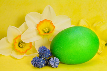 green Easter egg and narcissus