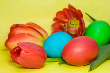 Colorful painted Easter egg and tulip against  background