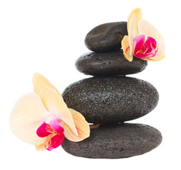Fototapeta na wymiar massage stones with aloe vera