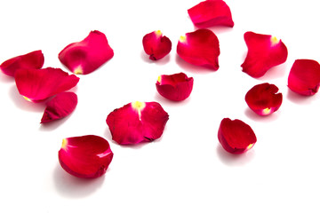 Fototapeta na wymiar symbol of love with rose, valentin's day