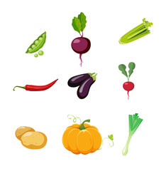 Vegetables set